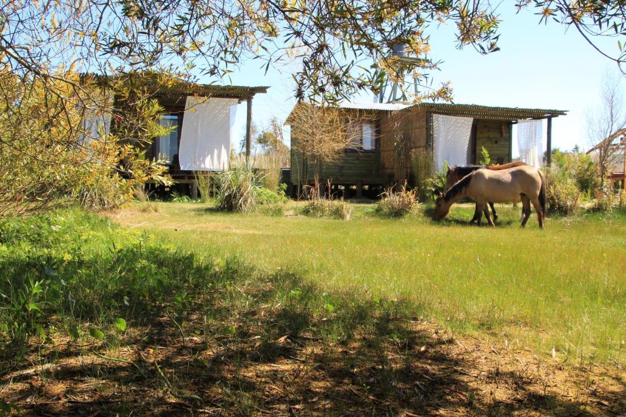 Angelo Pension Punta Del Diablo Buitenkant foto
